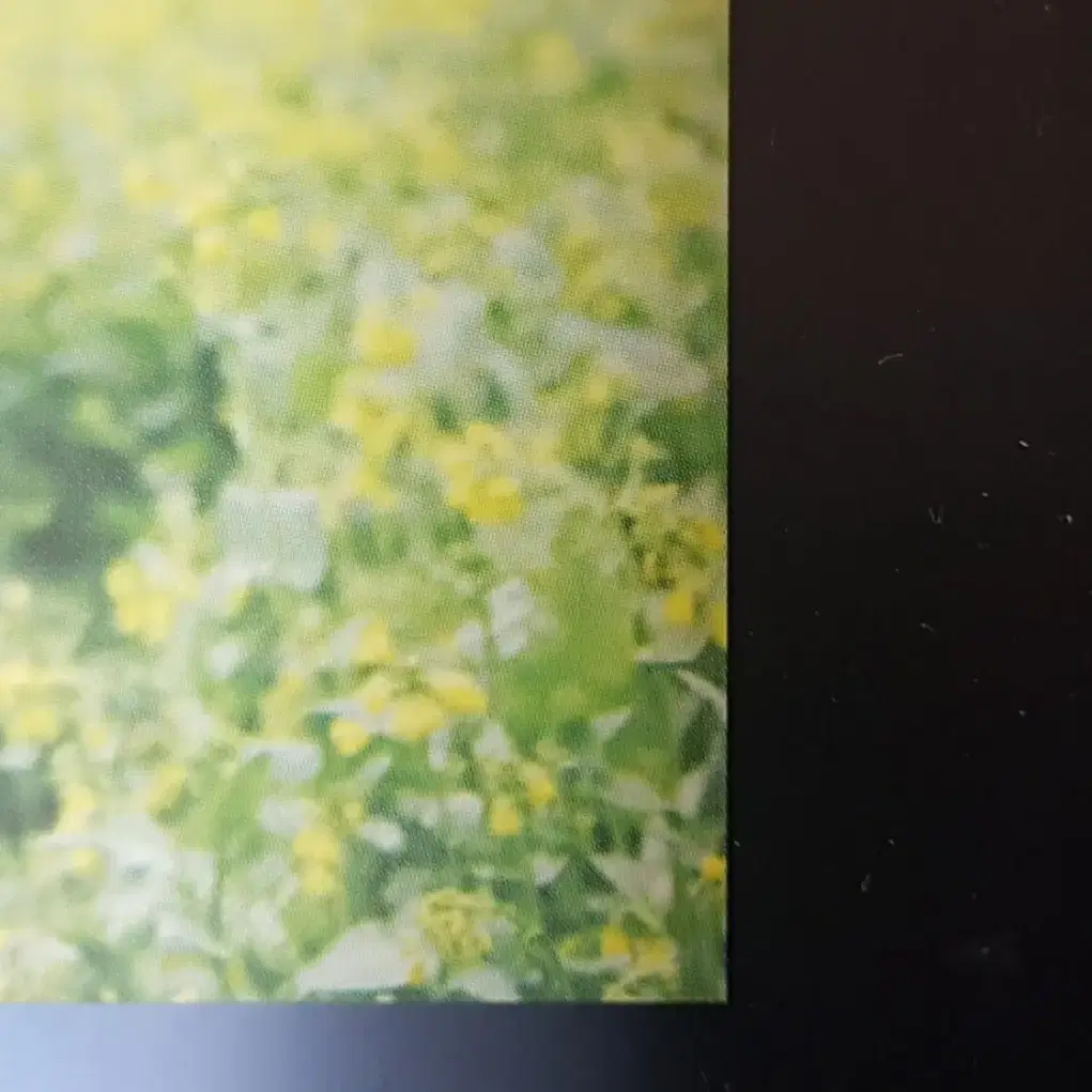 방탄 아니쥬 공방포카 정국 양도 판매 I need you 공방 포토카드 6