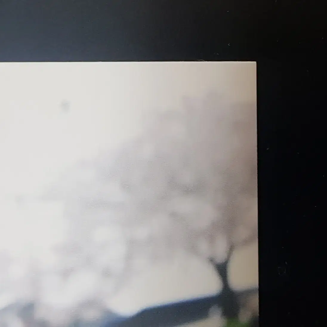 방탄 아니쥬 공방포카 정국 양도 판매 I need you 공방 포토카드 7
