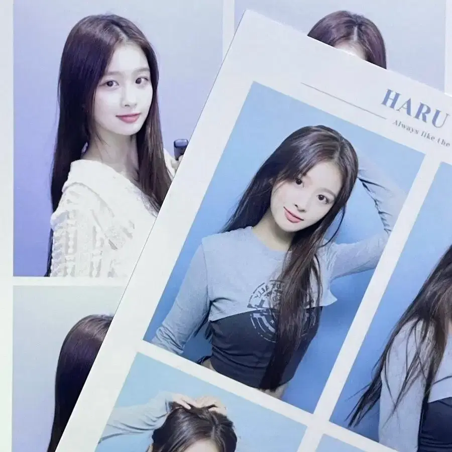 엔믹스 설윤 증사 싸인 스티커 포카 폴라 증명사진 설윤아 인생네컷 비공굿 4