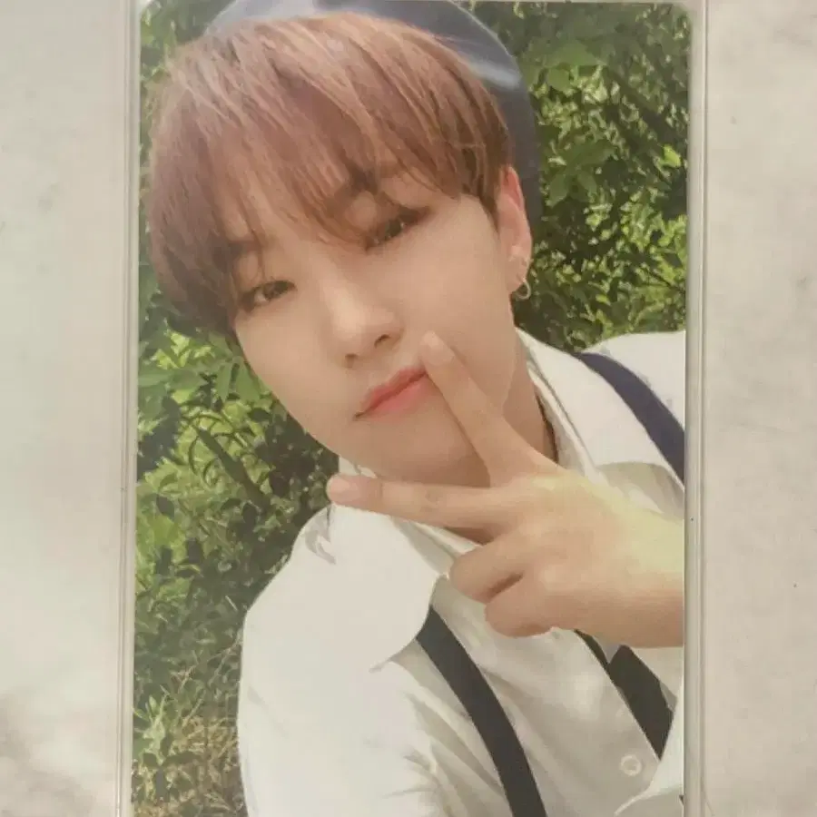 세븐틴 언오드 호프 버전 베레모 호시 포카 양도 1