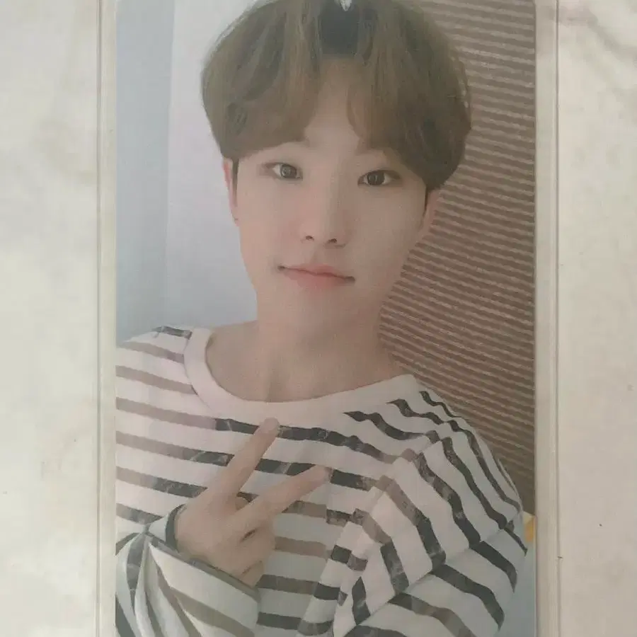 세븐틴 어쩌나 유멬마이데이 밋 로고 버전 호시 포카 1