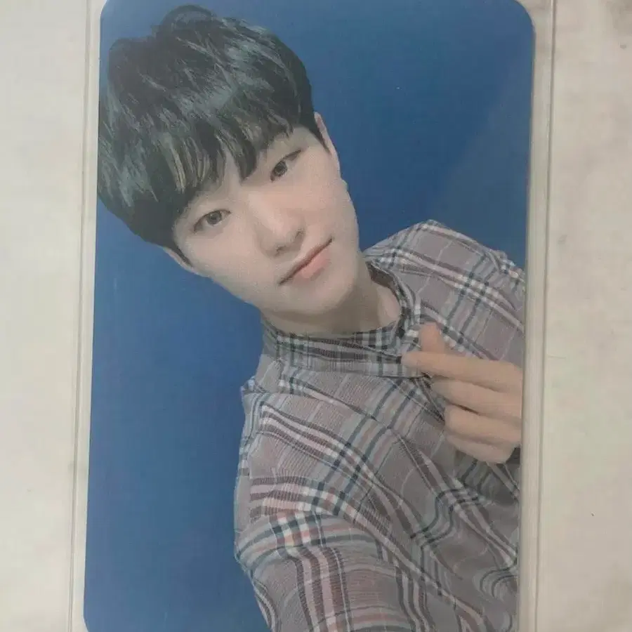 세븐틴 홈 유멬마이던 비폴 던 버전 호시 포카 양도 1