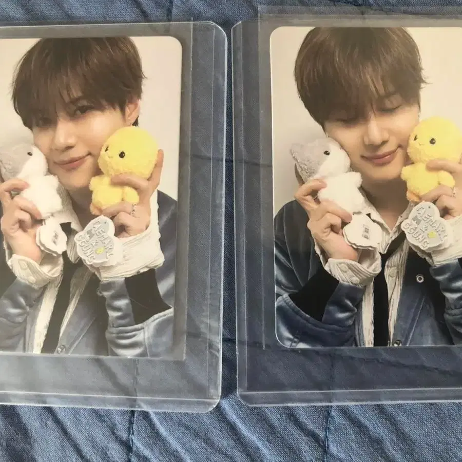 샤이니 태민포카 팝니다 꿍아리탬포카