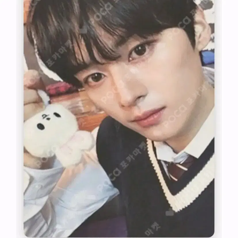반택비 포함)스테이존 중콘 리노 포카 2