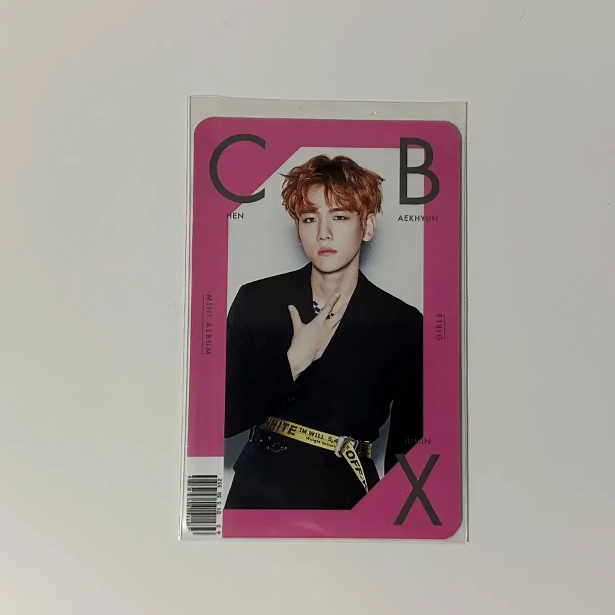 엑소 변백현 백현 포카 미공포 포라이프 코코밥 템포 첸백시 걸스 토끼큥 5