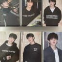 세븐틴 캐랜 캐럿랜드 파오럽 비더썬 트레카 포카 1