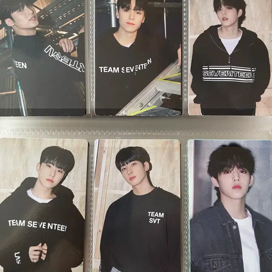 세븐틴 캐랜 캐럿랜드 파오럽 비더썬 트레카 포카