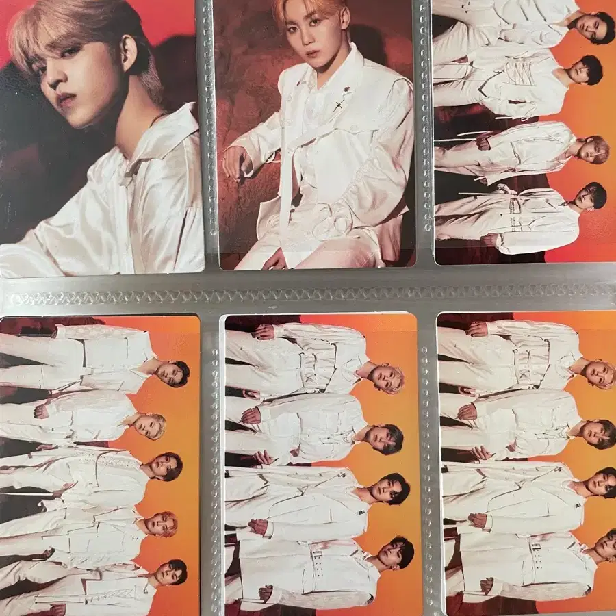 세븐틴 캐랜 캐럿랜드 파오럽 비더썬 트레카 포카 5