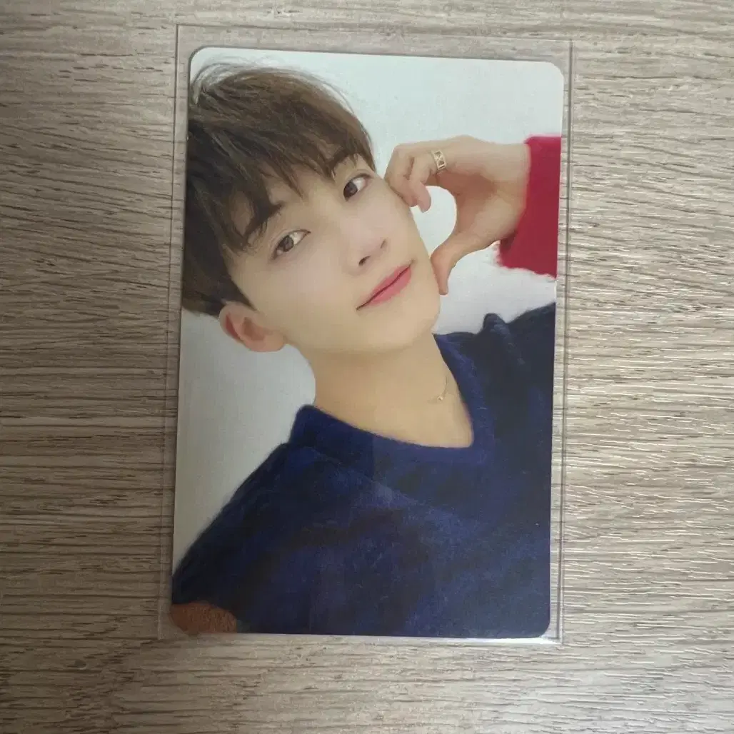세븐틴 정한 폴플 포카