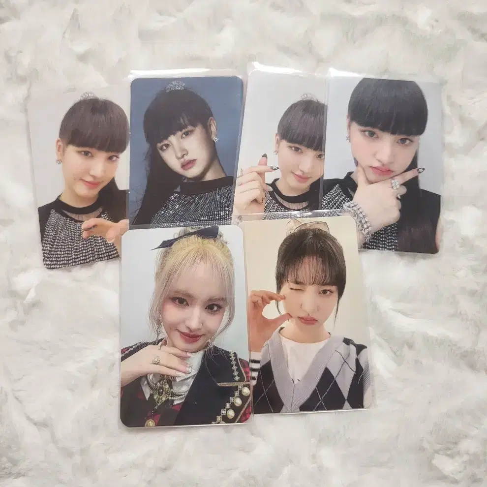 14장(폭덤!)아이브 리즈 포카 양도 4