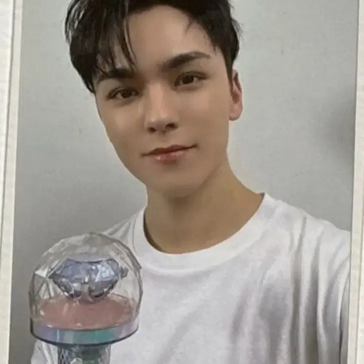 무배) 세븐틴 캐럿존 버논 포카 2023캐럿랜드