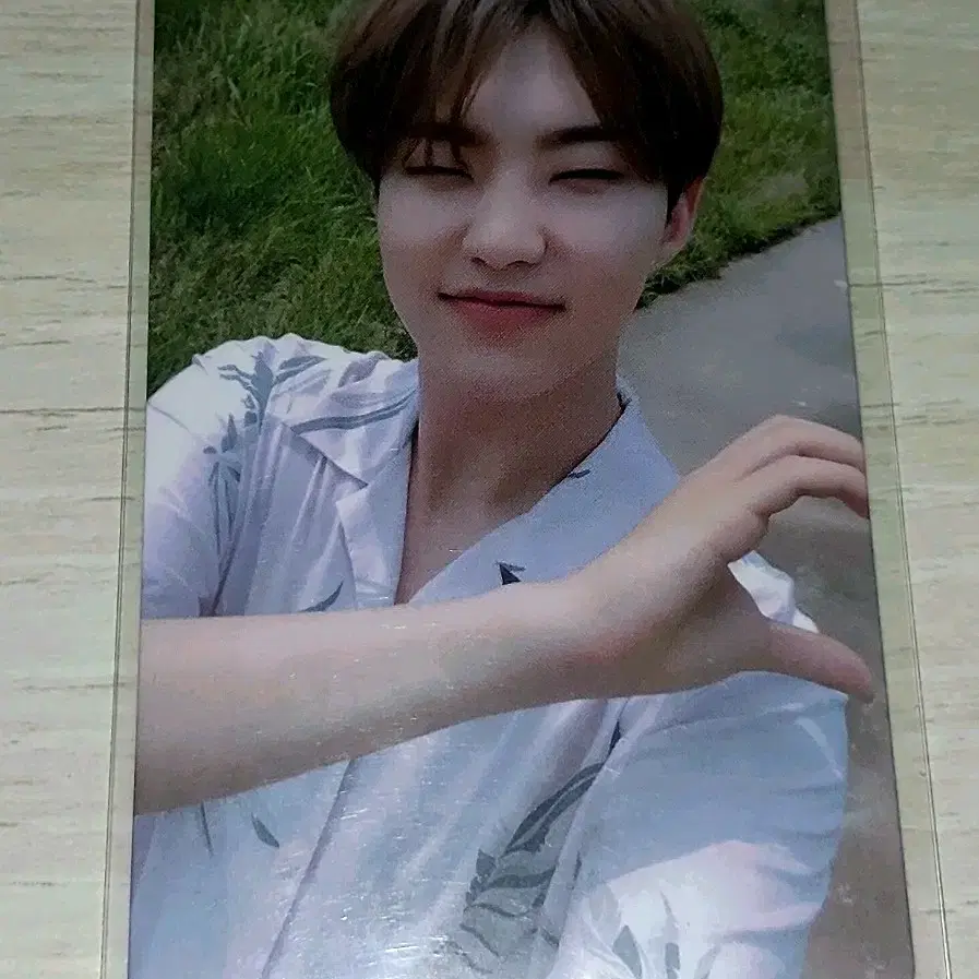 세븐틴 어쩌나 호시 포카