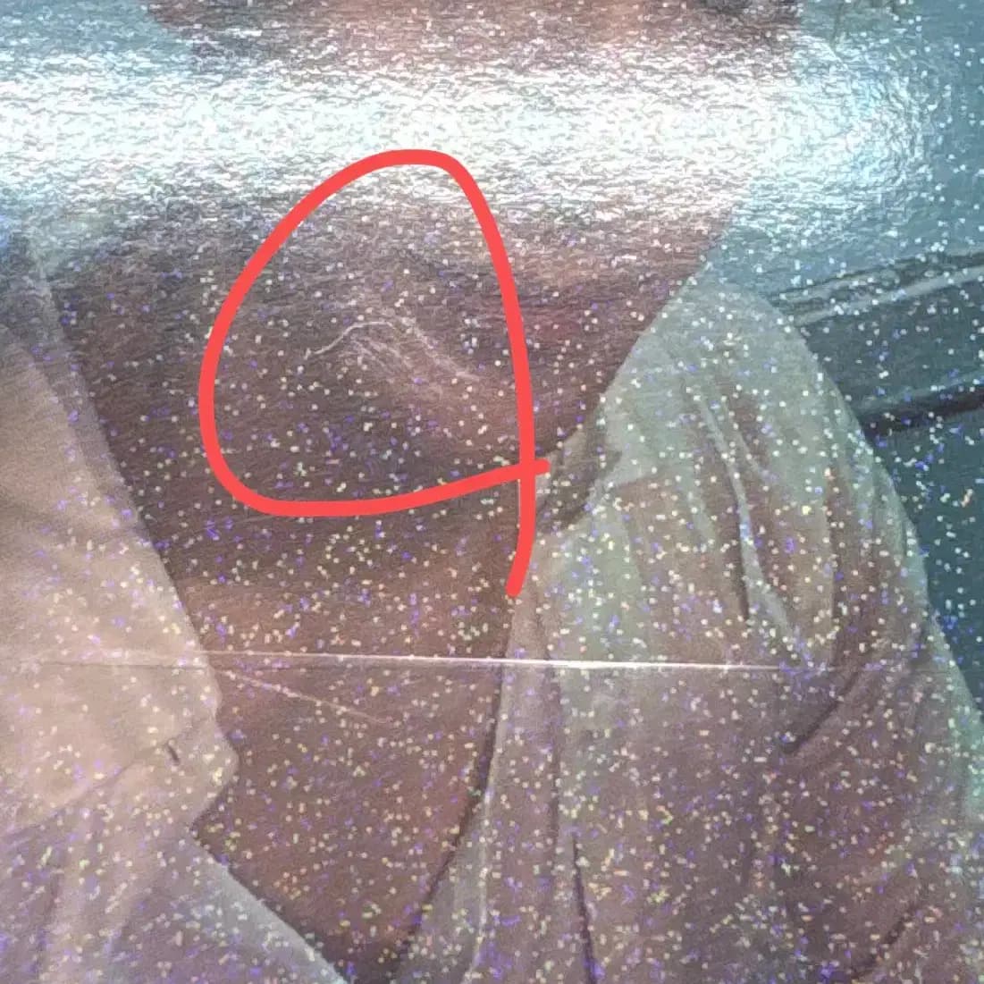 세븐틴 스필더필스 캐럿반 특전 뮤직플랜트 도겸 포카 양도 2