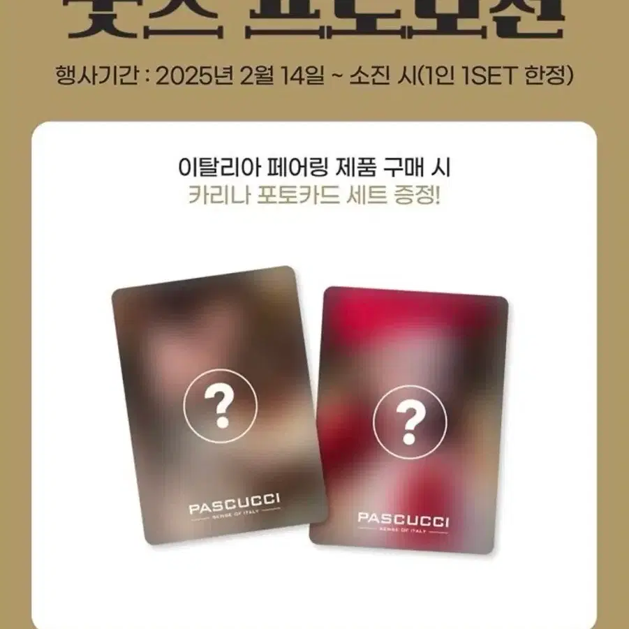 (미개봉)파스쿠찌 카리나 포토카드 포카