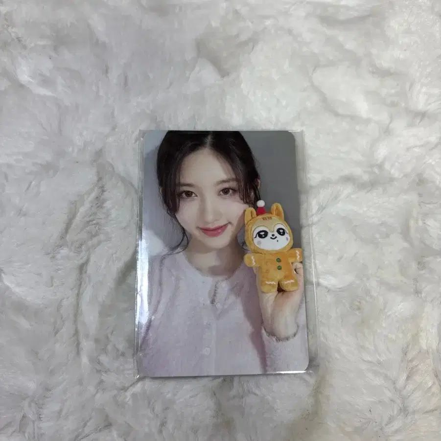 아이브 미니브 가을포카