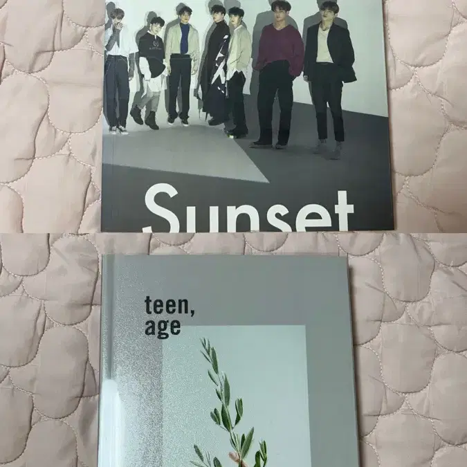 세븐틴 굿즈 포카 앨범 처분 10