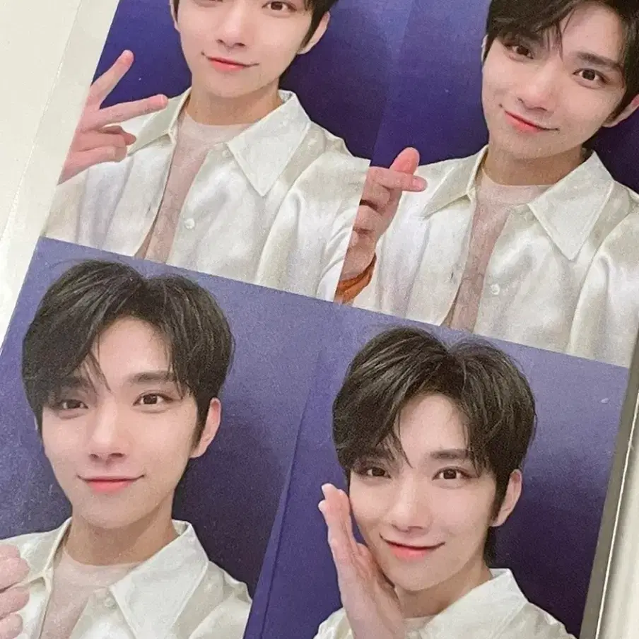 세븐틴 조슈아 헹가래 앨범 사분할 포카 SEVENTEEN SVT