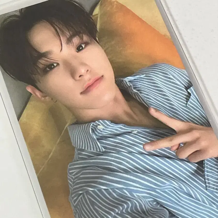 세븐틴 호시 언오드 독 앨범 포카 SVT SEVENTEEN