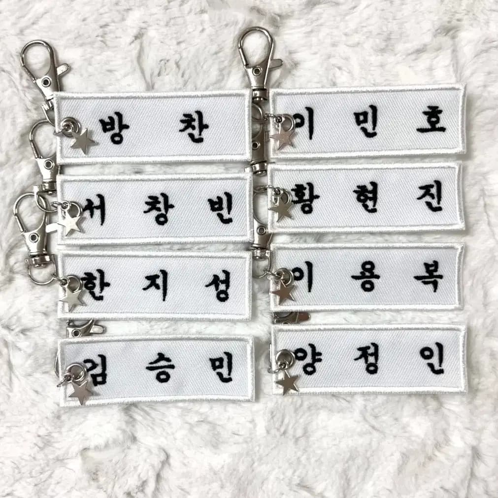 스키즈 스트레이키즈 명찰 키링 자수 아크릴 포카 비공굿 리노 아이엔 승민 1