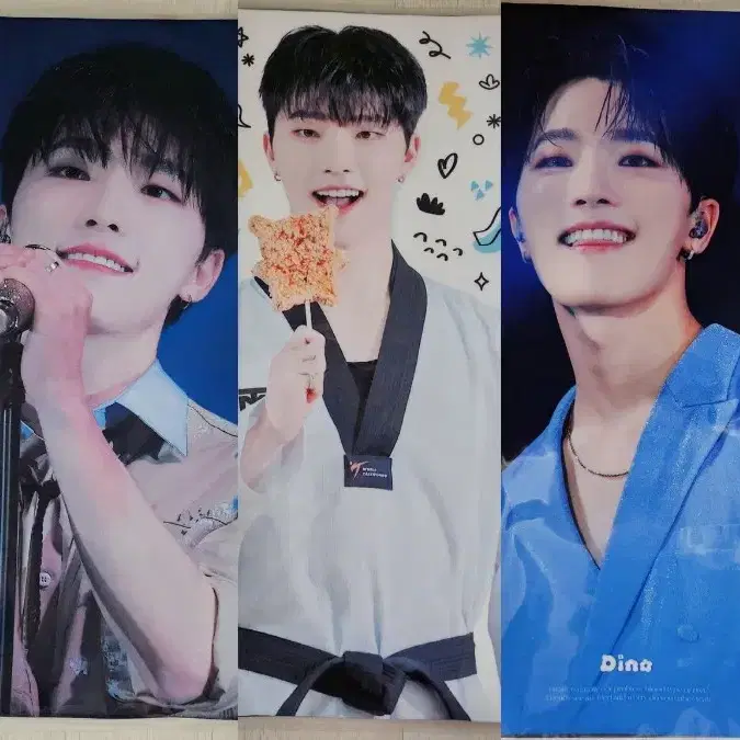 세븐틴 디노 슬로건 콘서트 캐럿랜드 캐랜 포카 캐럿봉 1
