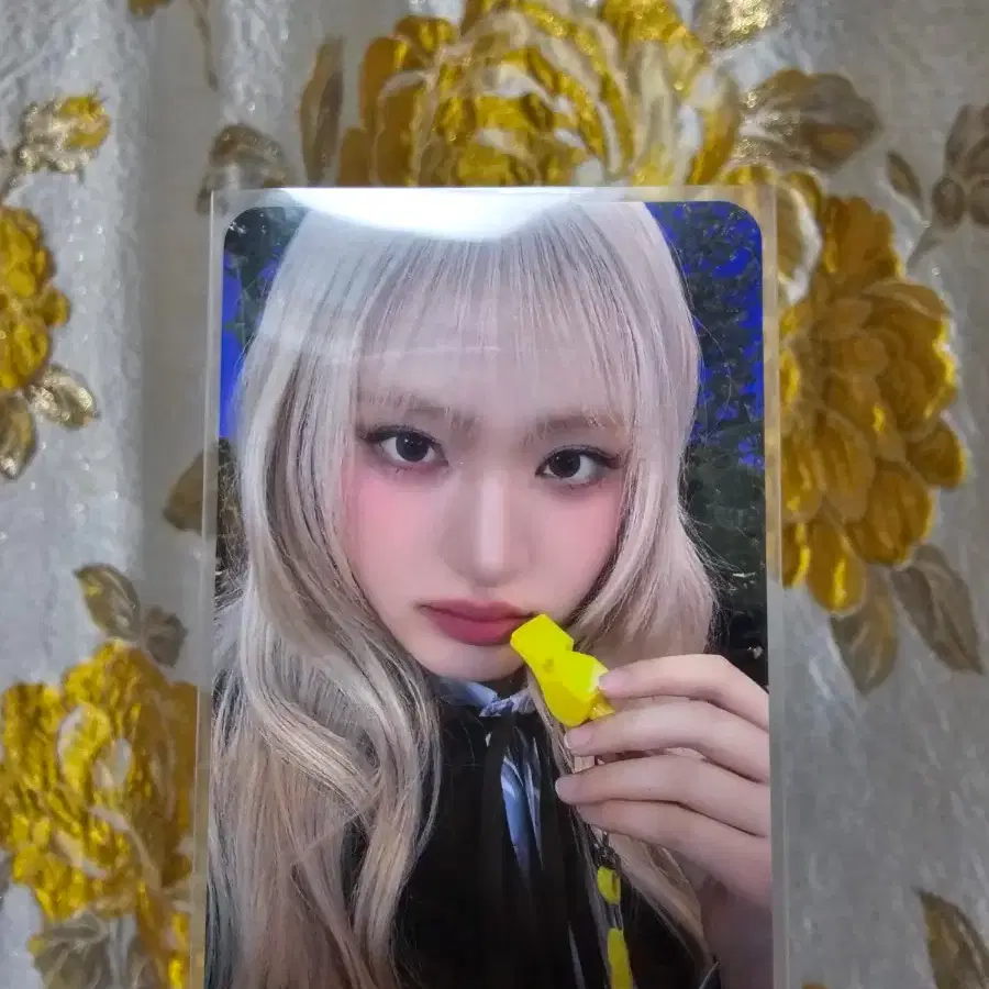 아이브 팬콘 호루라기 포카 리즈 양도합니다