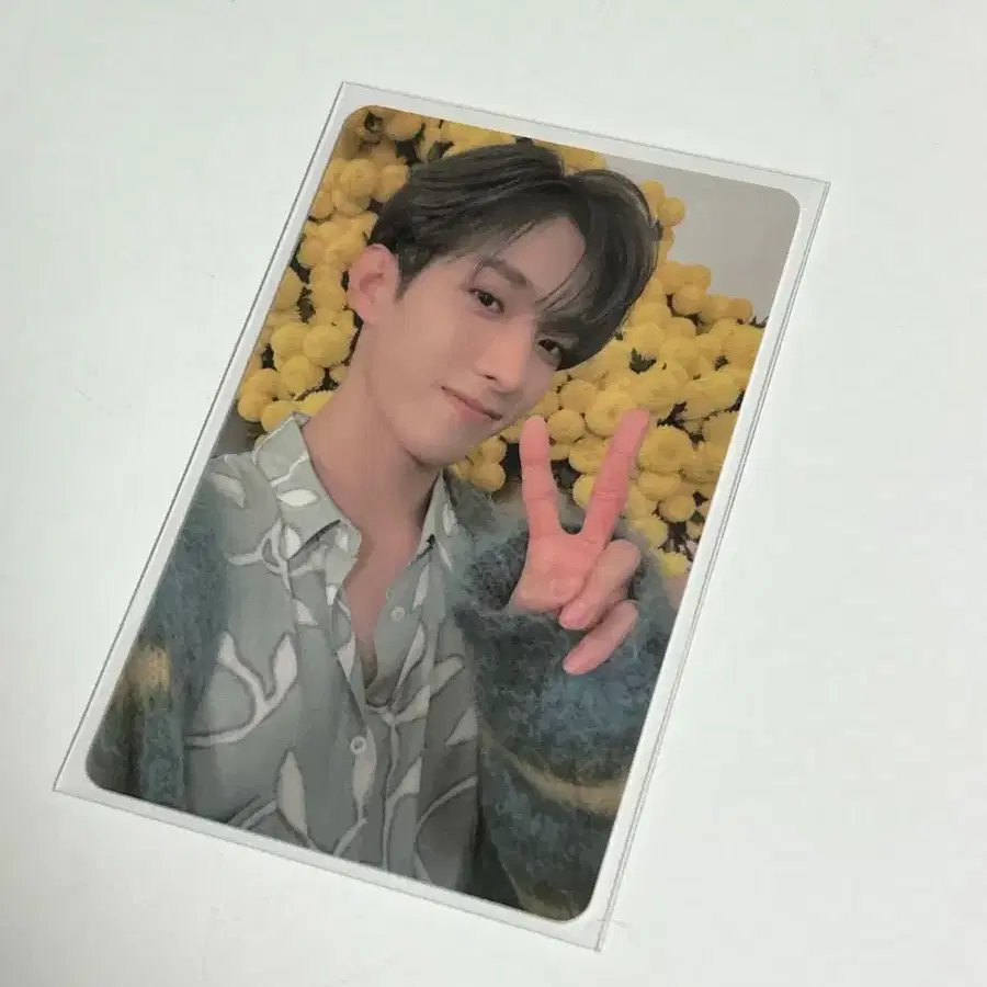 세븐틴 유어초이스 엠투유 럭드 도겸 포카 양도