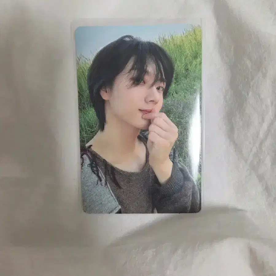 보넥도 성호 why 앨범 포카 판매