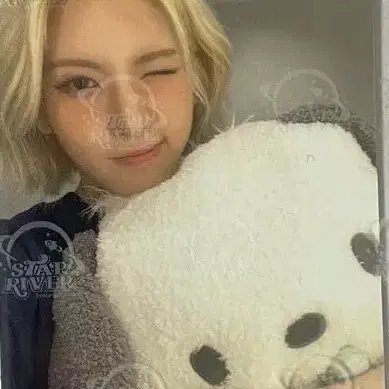 구함)엔믹스 배이 포카 포토카드 구합니다 삽니다 사요 2