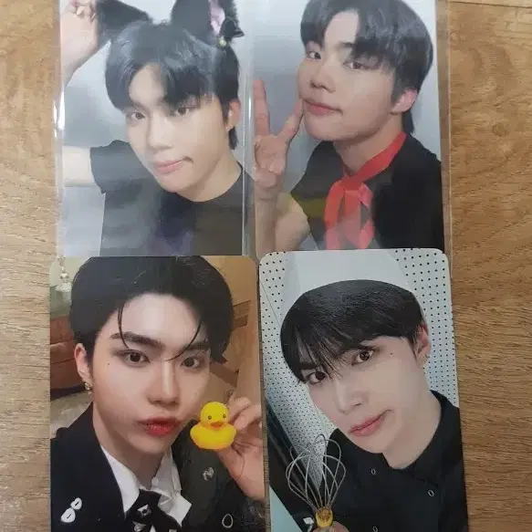 제베원 박건욱 포카 위드뮤 애플뮤직 요리사 오리 고양이 리본