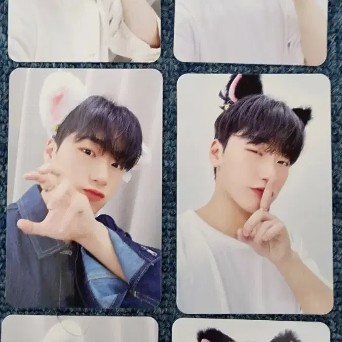 에이티즈 고양이 귀 포카 포토카드 최산 민기 여상 2