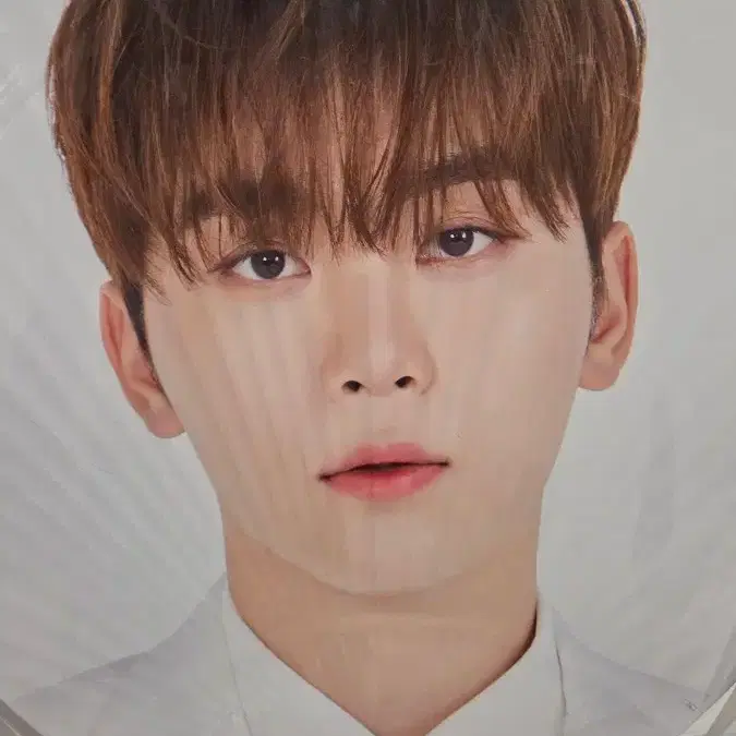 세븐틴 우치와, 포카 팔아요 9