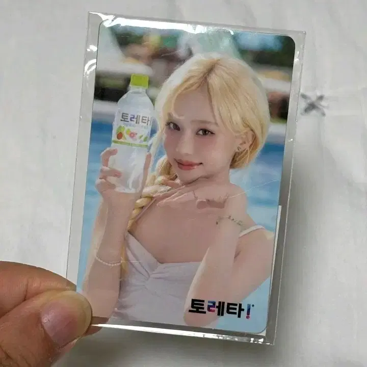 에스파 윈터 토레타 포카(3차)
