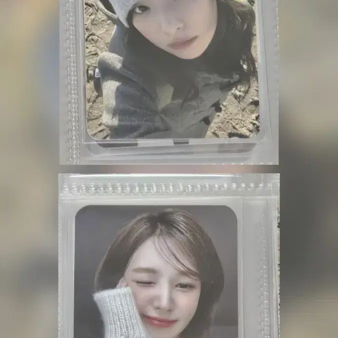 슬기 웬디 생일파티 포카 티켓 슬로건 2024 생파 포토카드 레드벨벳