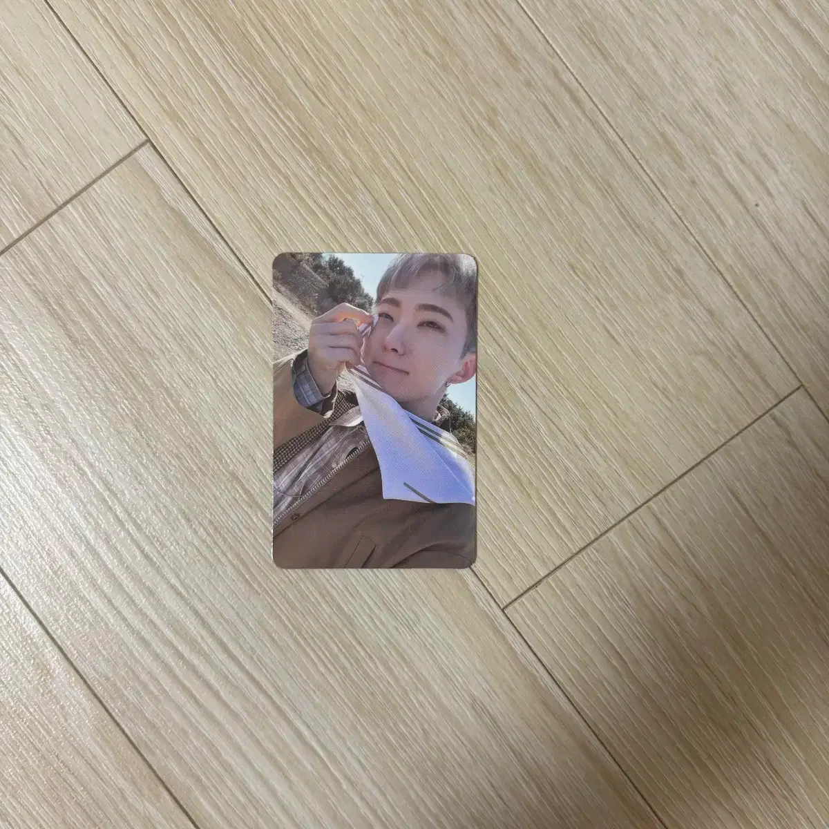 세븐틴 눈쓱햄 포카 호시 1