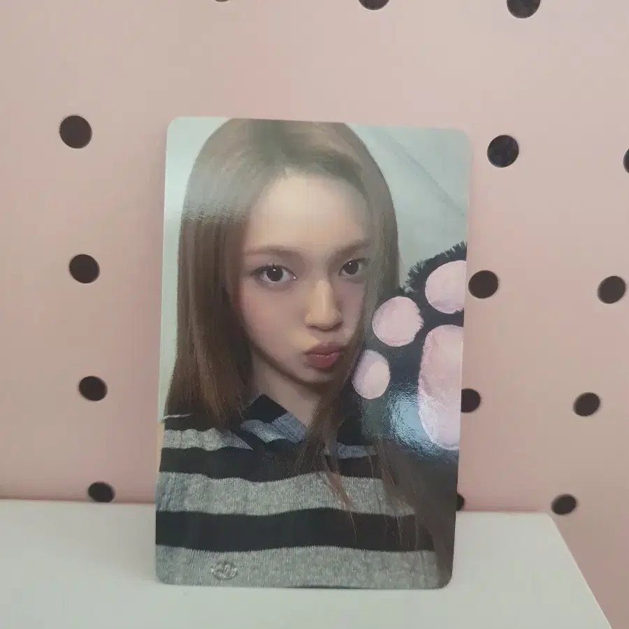 베이비몬스터 로제데이 포카 치키타