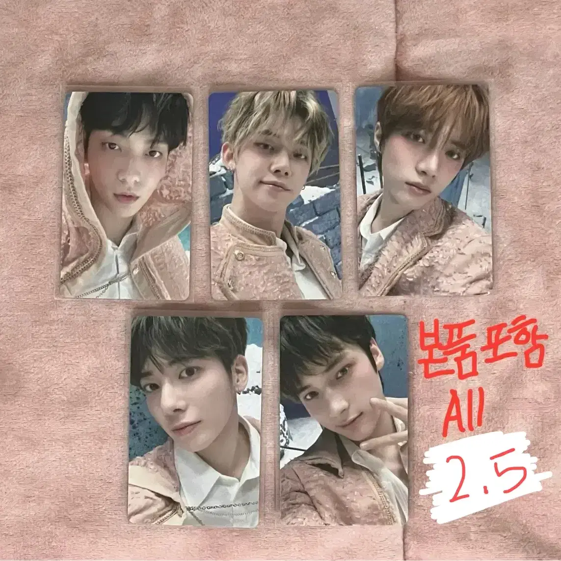 투바투 럽식 럽식콘 디비디 포카 dvd 큐알 양도 교환 2