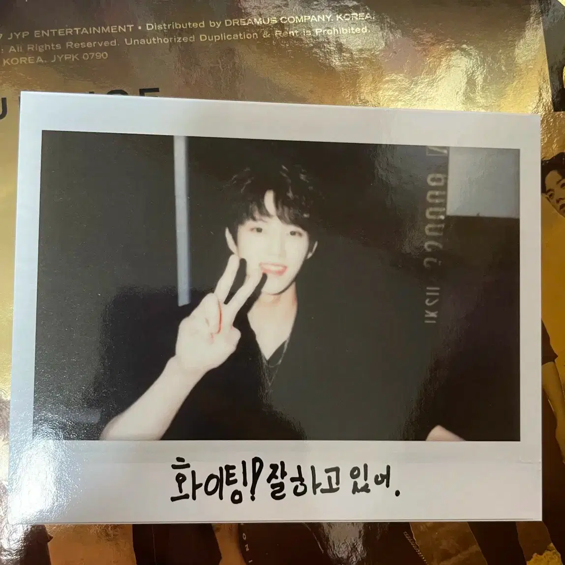 선라이즈 도운 폴라 포카 양도 / 단체 / 영케이 교환