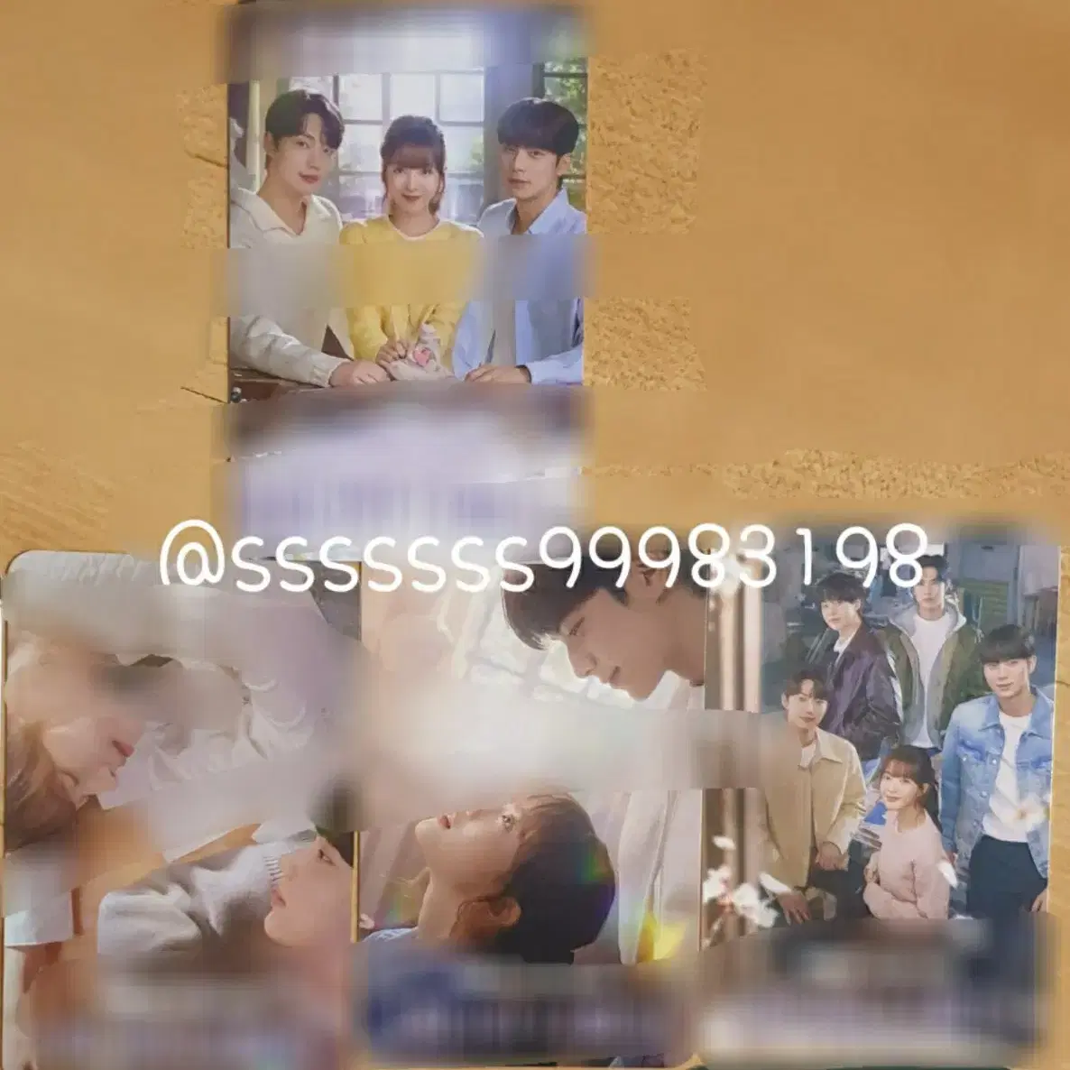 바니와오빠들 공식굿즈 포토카드 포카 노정의이채민조준영 반희진황재열차지원