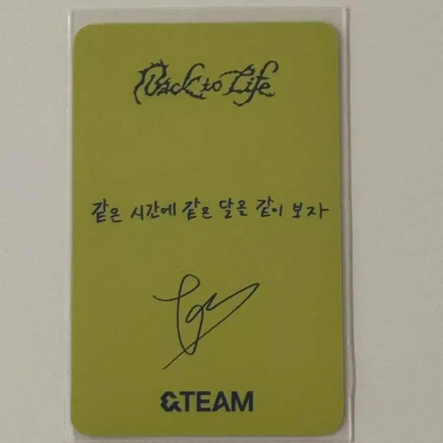 앤팀 타키 공방 포카 백투라 back to life 2