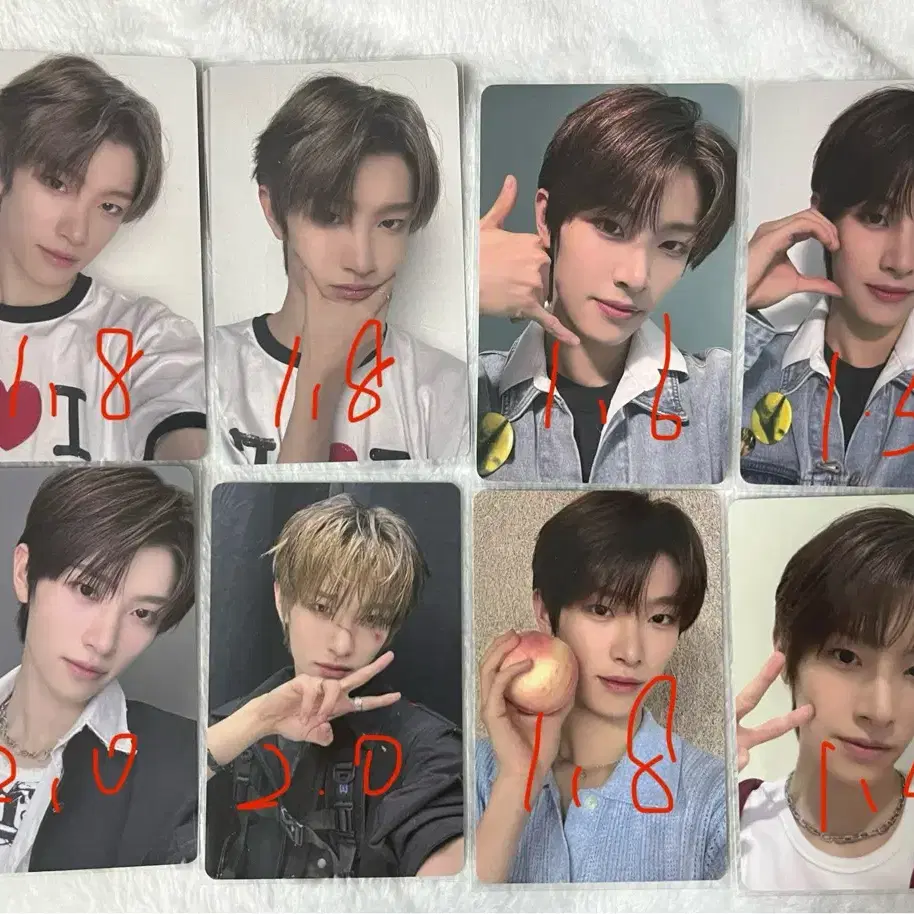 보플2 전시회 천카이원 1주차  shanghai아카이 포카브 양도