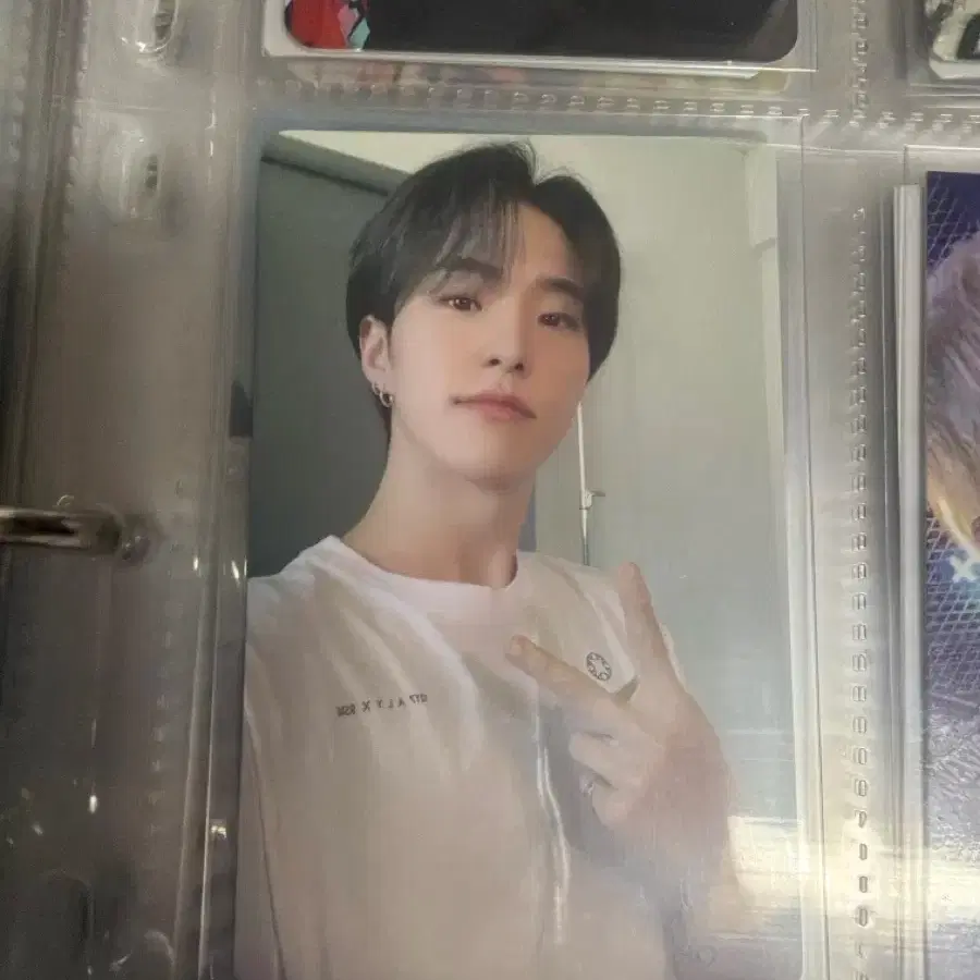 세븐틴 호시 포카 양도 1