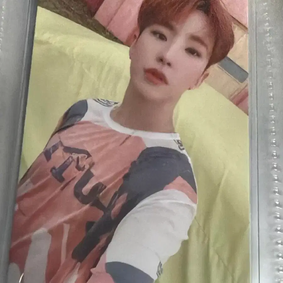 세븐틴 호시 포카 양도
