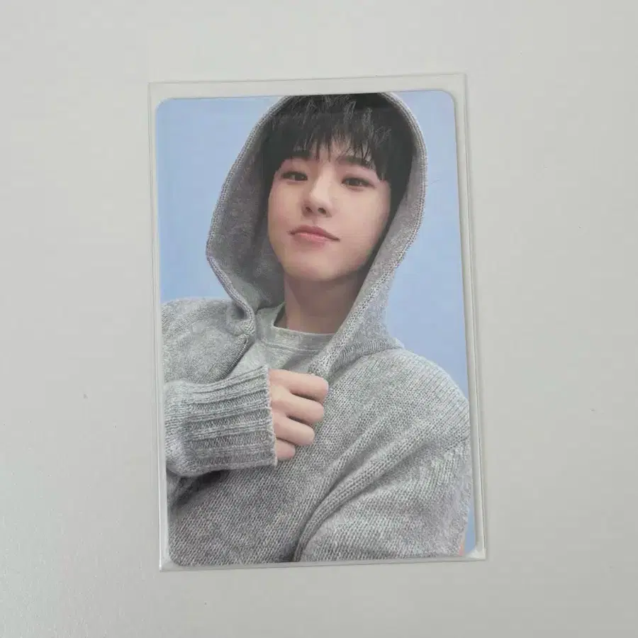 세븐틴 부석순 세컨드윈드 호시 스페셜 포카