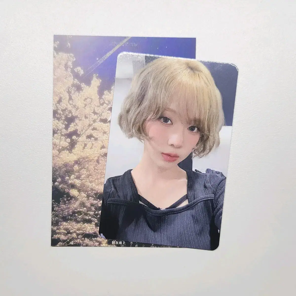 에스파 윈터 위플래시 메이크스타 팬싸 포카 1