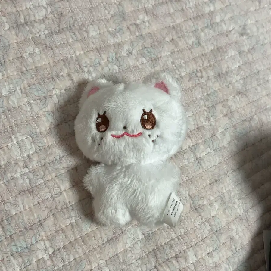 깨복 스키즈 현진 필릭스 인형 뽁삐 뽁냥이 현제비 뽁아리 지니렛포카