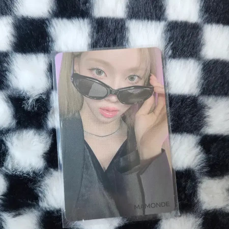에스파 윈터 마몽드 포카 판매 양도 1