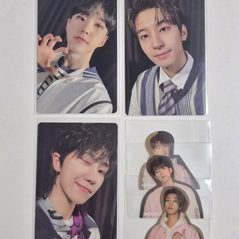 세븐틴 호시 원우 디에잇 2023 캐럿랜드 메모리북 포카 스티커