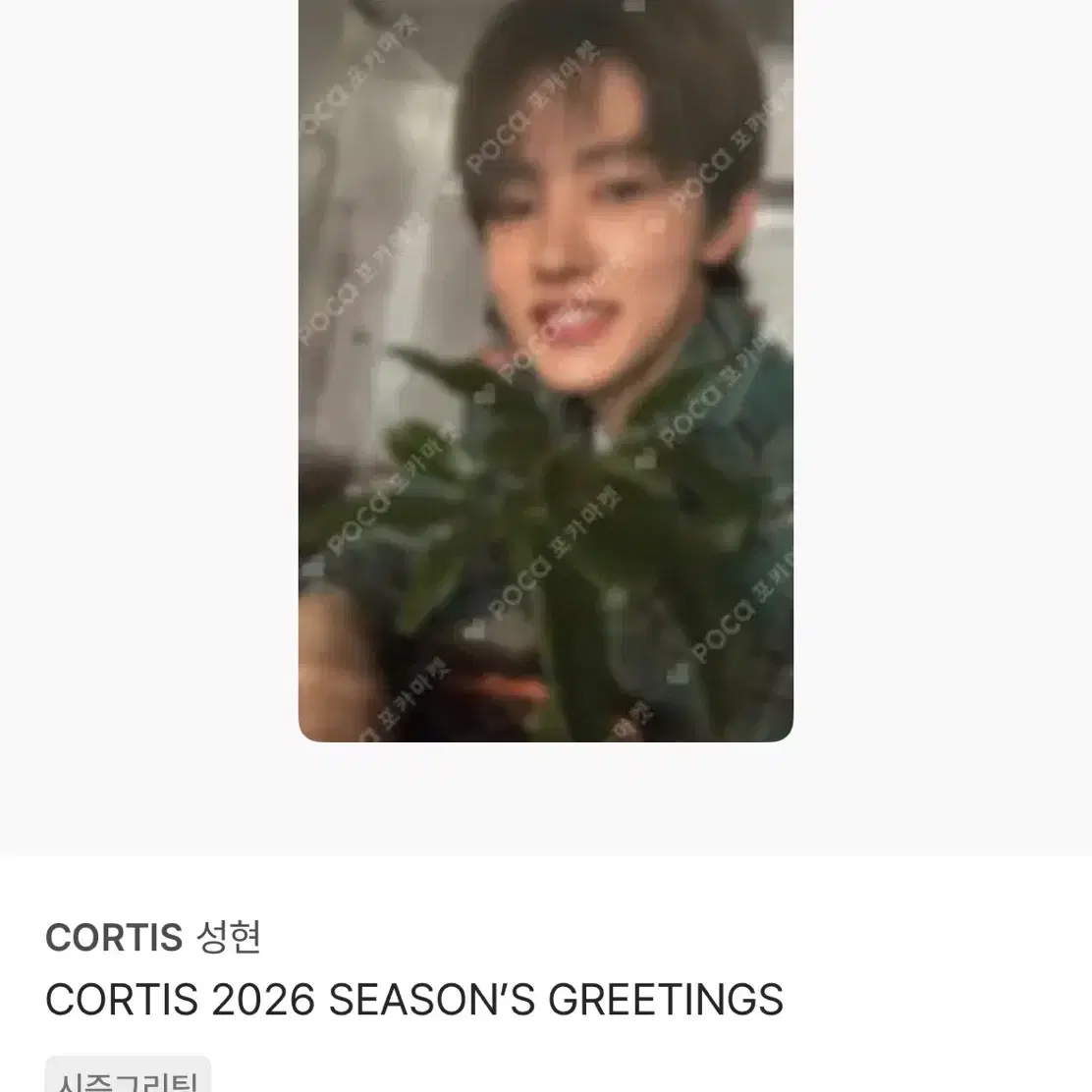 CORTIS 성현 시즌그리팅 포카 2