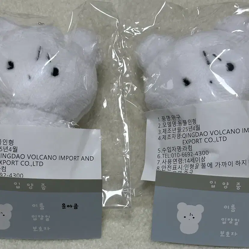 보이넥스트도어 보넥도 운학 인형 키링 운아곰 운아기 포카 포토카드