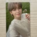 세븐틴 우지 아타카 포카 1